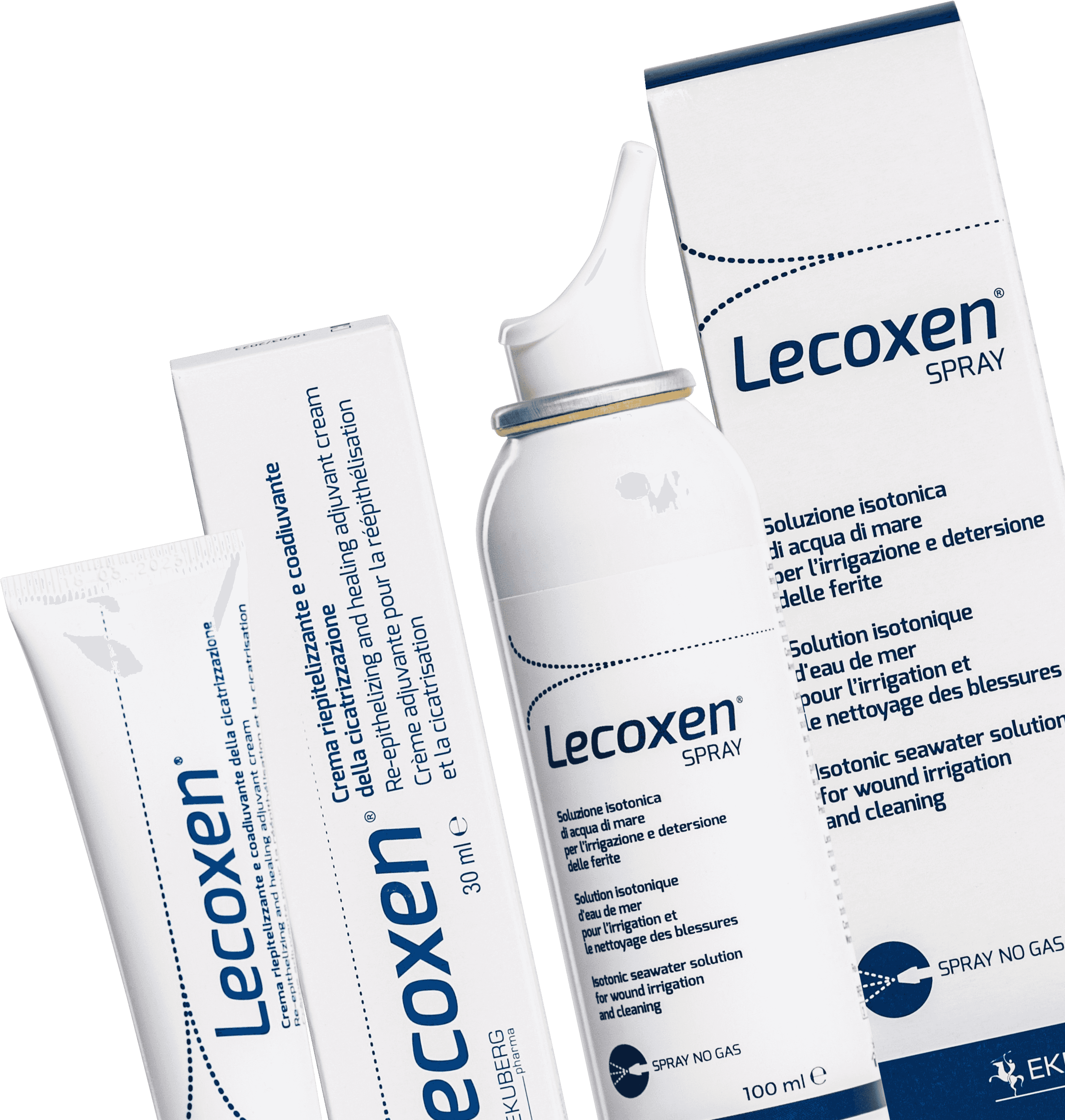 Lecoxen